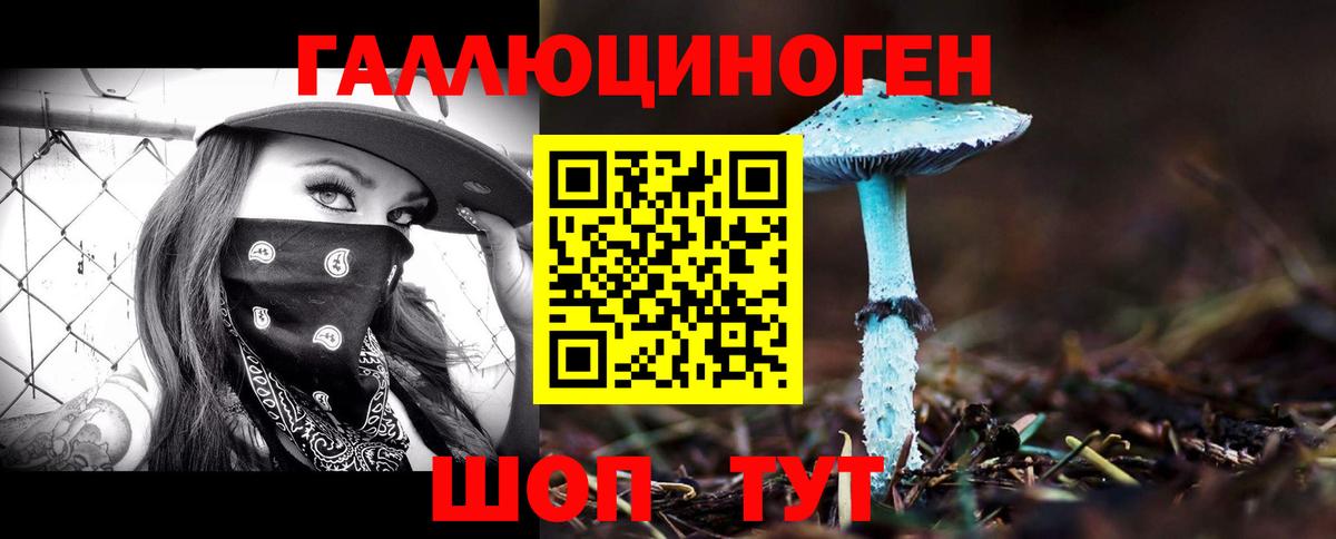 Лангепас  Галлюциногенные грибы Cubensis  Вход с VPN 