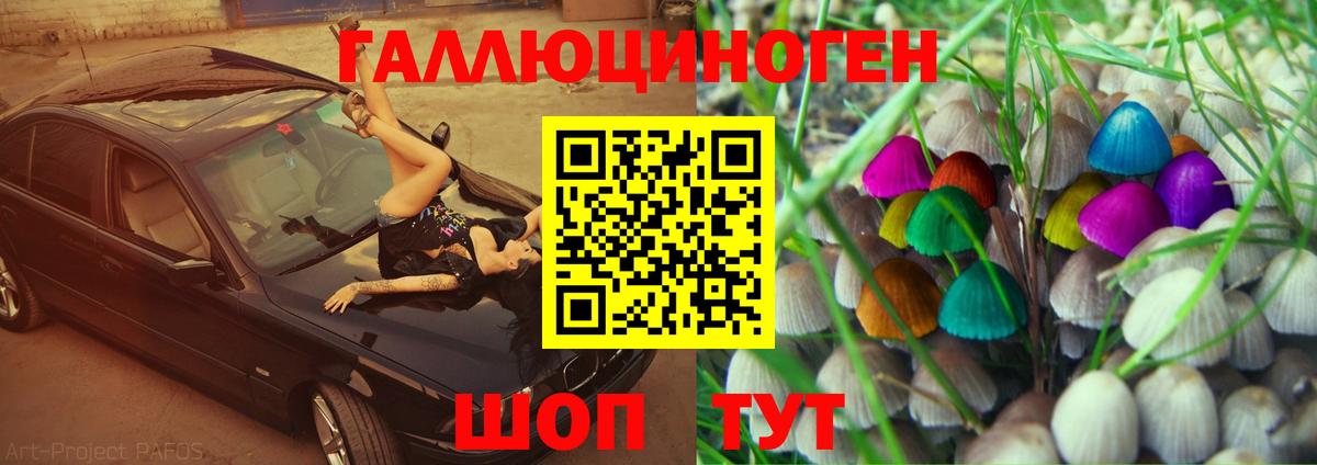 Псилоцибиновые грибы Psilocybine cubensis Лангепас